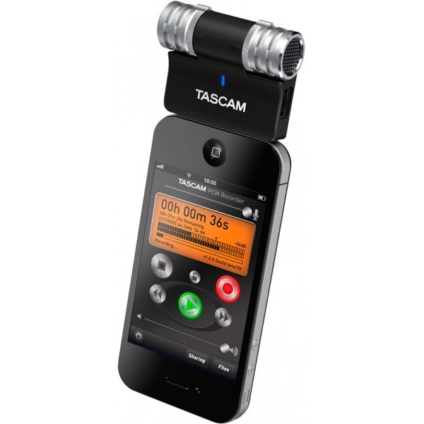 TASCAM IM2